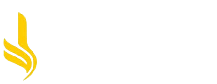 BizDevIT Logo